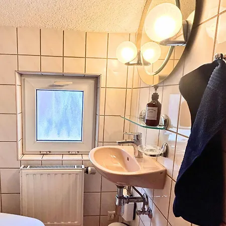 Landeskrone Fuer 10 Personen Mit Sauna, Terrasse, Inkl Parkplatz In Holiday home