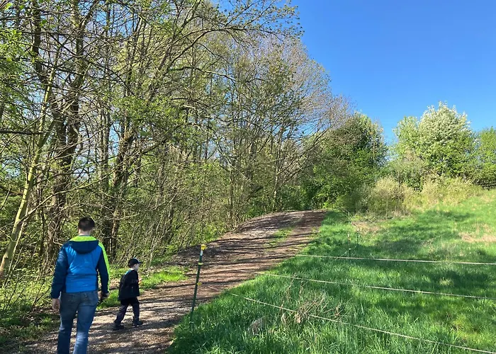 Landeskrone Fuer 10 Personen Mit Sauna, Terrasse, Inkl Parkplatz In * Dresden
