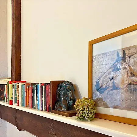 Landeskrone * Dresde