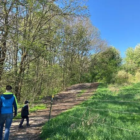 Landeskrone * ドレスデン