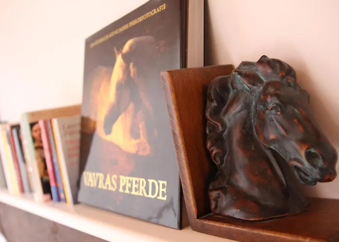 Landeskrone Fuer 10 Personen Mit Sauna, Terrasse, Inkl Parkplatz In Dresda